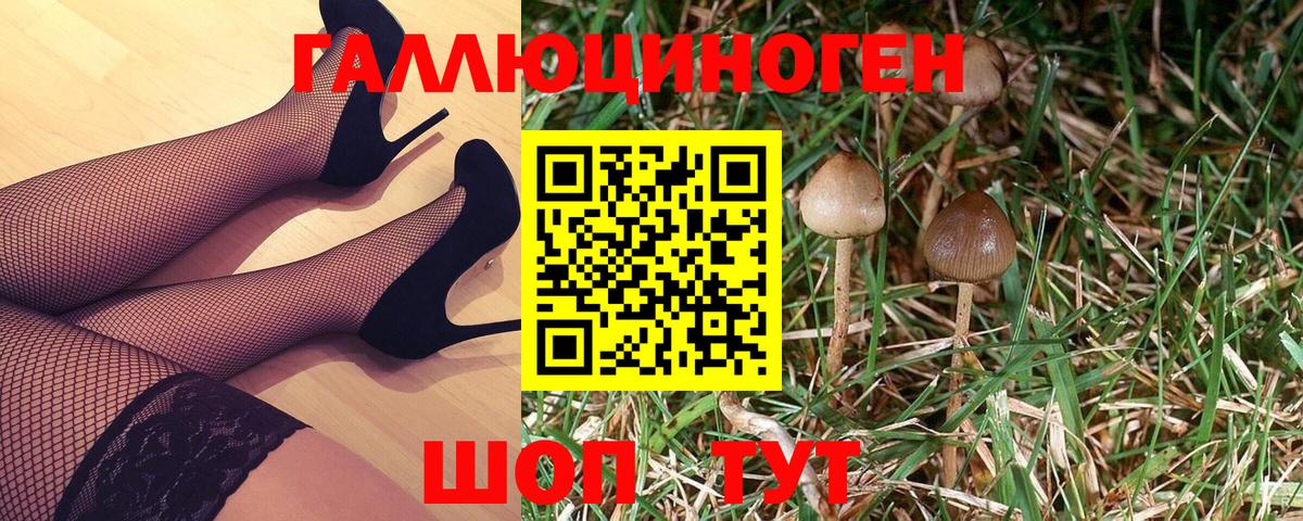 Галлюциногенные грибы MAGIC MUSHROOMS Семилуки