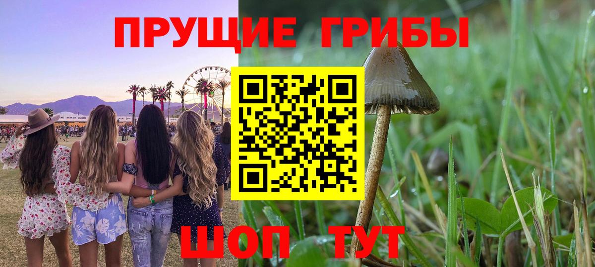 Псилоцибиновые грибы Magic Shrooms  Галлюциногенные грибы ЛСД  Вход с VPN  Семилуки 